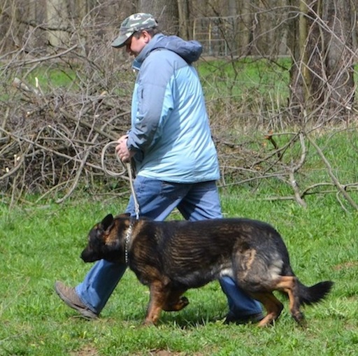 Zdeněk Čermák